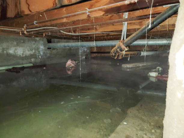 Best 24/7 water damage repair  in Buffalo Center, IA