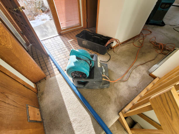 Best Flood damage cleanup  in Buffalo Center, IA