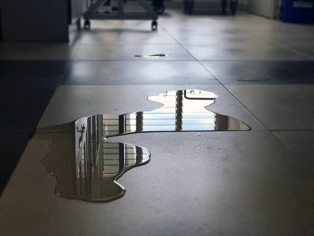 Best Carpet water damage restoration  in Buffalo Center, IA